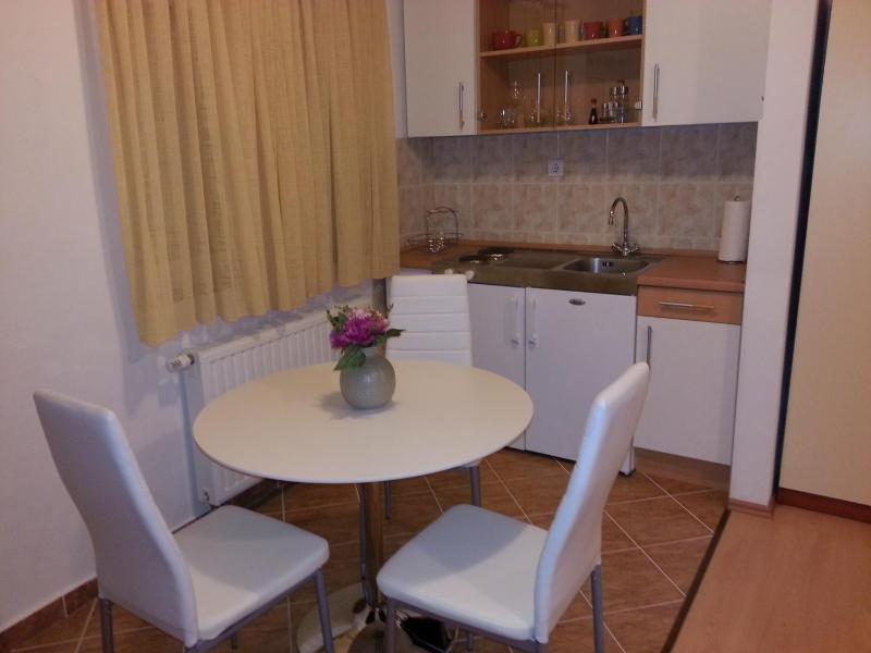 New Studio Apartments Trlaja - image 14