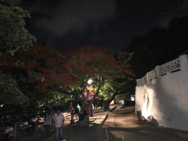 Gods own home stay - image 12
