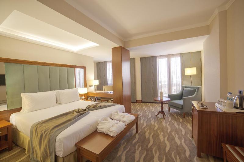 Deluxe Double or Twin Room image 4