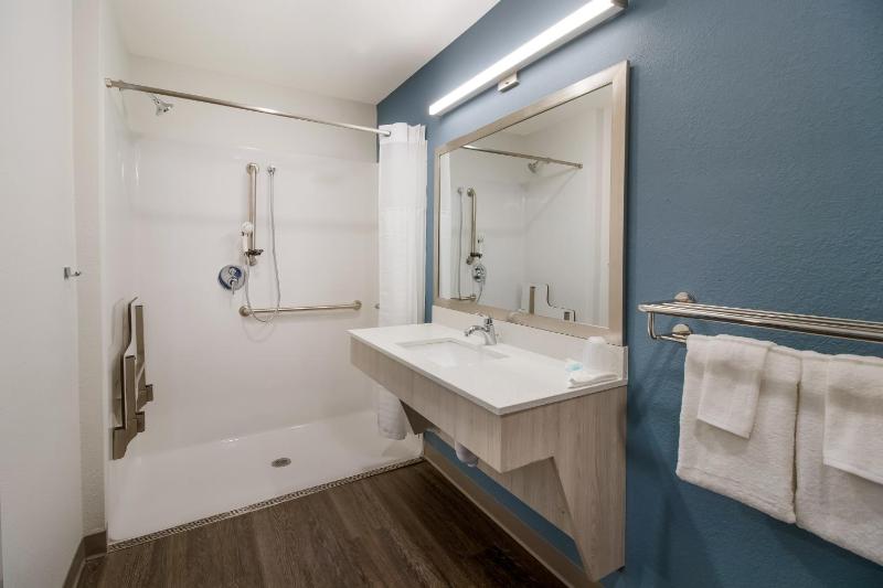 QUEEN SUITE ACCESSIBLE ROLL IN SHOWER image 2