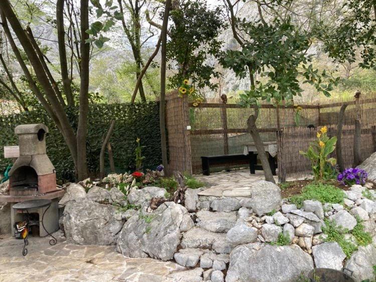 Apartment with Terrace image 4