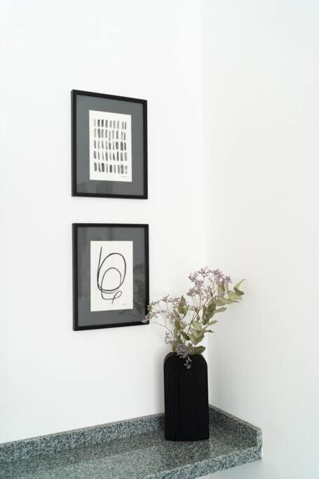 Almagro BA Studio. - image 3