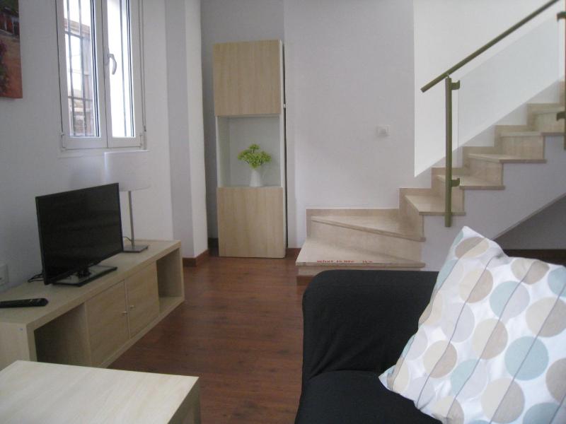Málaga Apartamentos - Pozos Dulces 22 - image 21