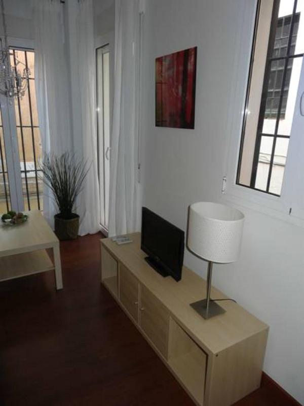 Málaga Apartamentos - Pozos Dulces 22 - image 15