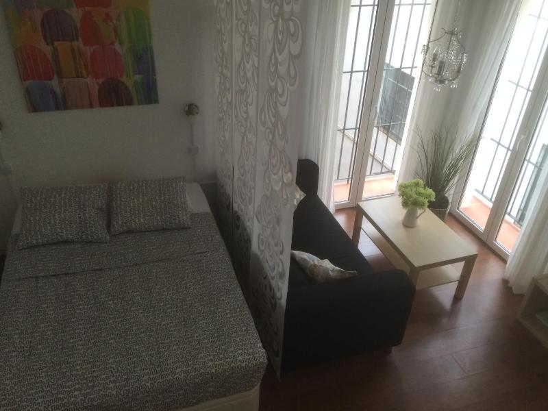 Málaga Apartamentos - Pozos Dulces 22 - image 11