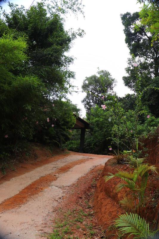 Coorg Nature Breeze home stay - image 8