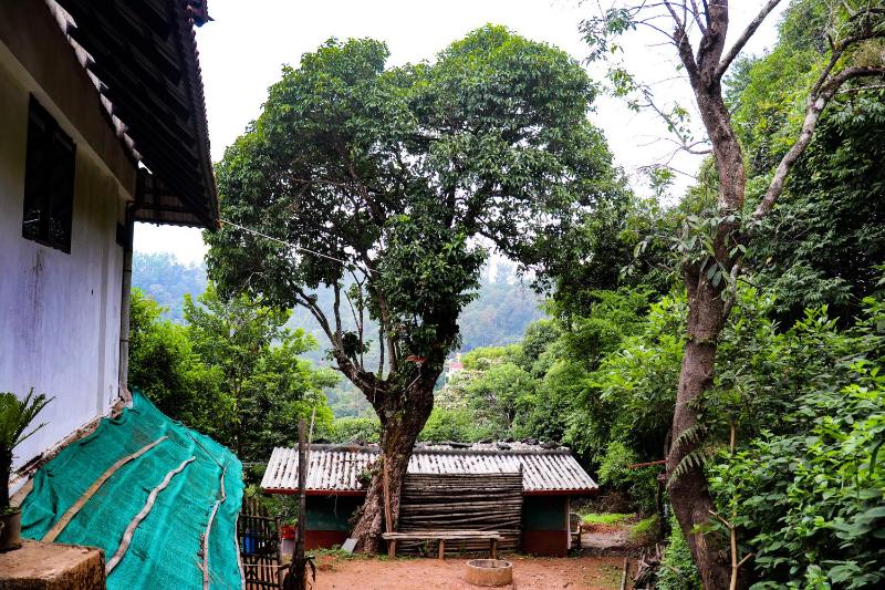 Coorg Nature Breeze home stay - image 25
