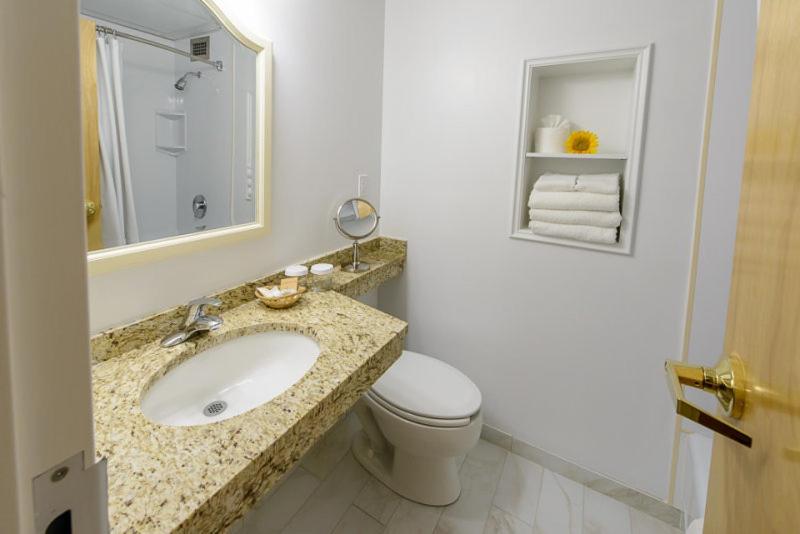 Deluxe King Room image 2