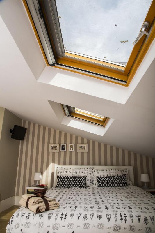 Attic image 1