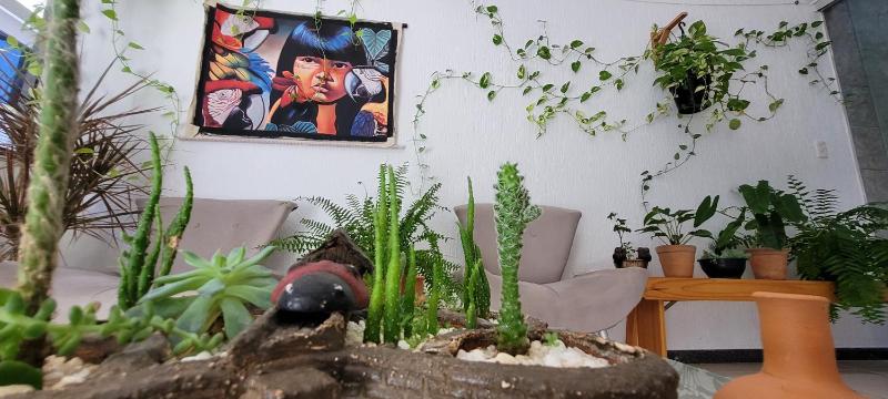Pousada Casa da Vovó - Sua casa pertinho da Praia - image 35