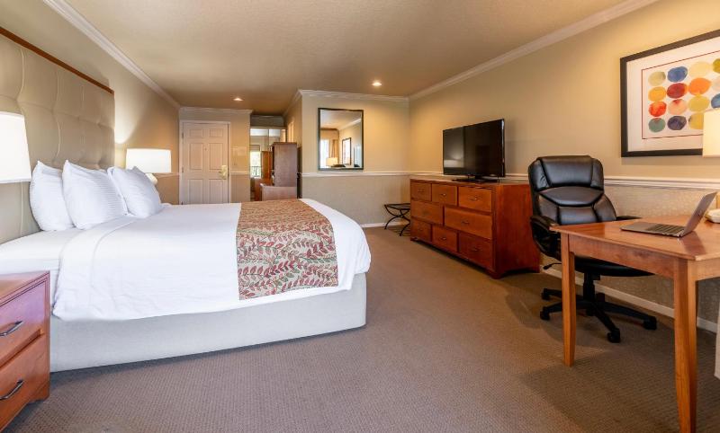 Premier Lakeside King image 3