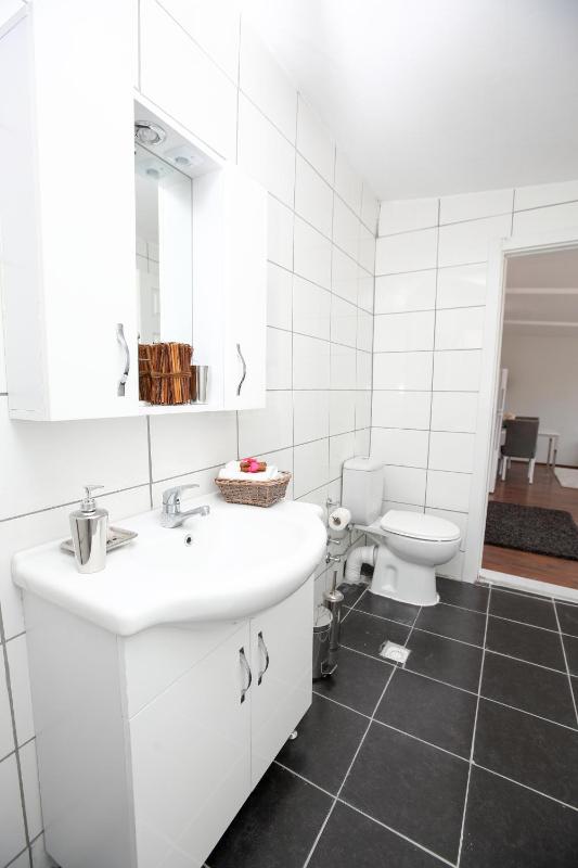 Penthouse Apartment image 4