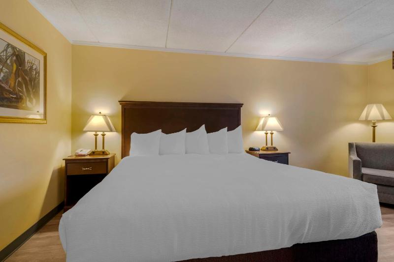 Family Suite image 1