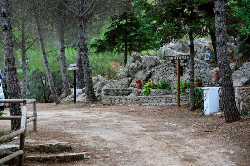 Parcela para autocaravana máximo 6 metros, incluye luz, WIFI y ducha image 4