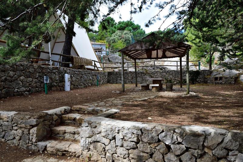 Parcela para autocaravana máximo 6 metros, incluye luz, WIFI y ducha image 3