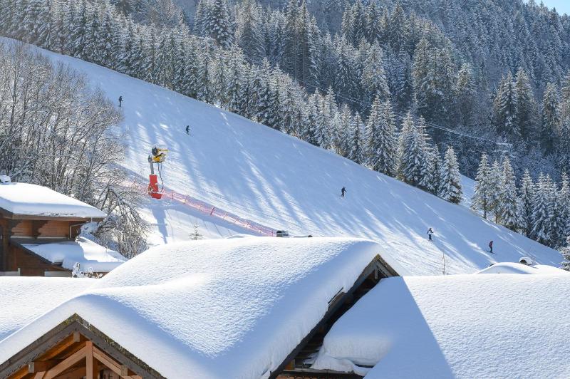 Chalet Grand Togadere - image 4