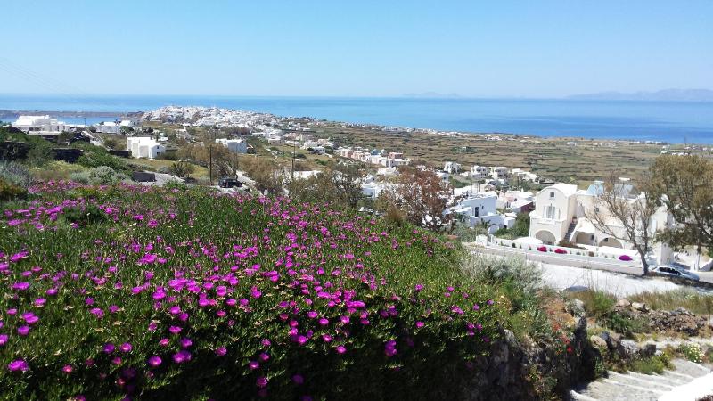 Alonistra Oia Houses - image 35