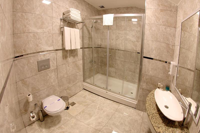Standard Family Room image 4