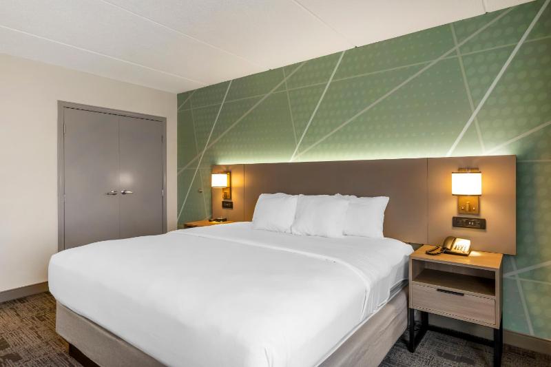 King Suite with Sofa Bed - Non-Smoking image 2