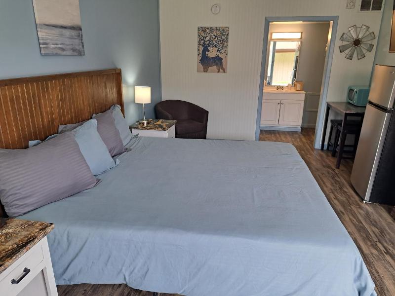 Blue Sky Inn- Complimentary Happy Hour Th-Sun Veteran owned Full Breakfast Best green space 1 mile from Blue Ridge Fire Pit - image 32