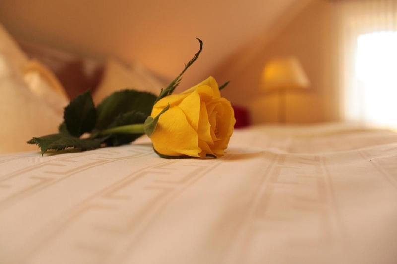 Deluxe Double Room with Shower image 3