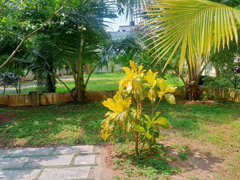 Sinai Homestay - image 8