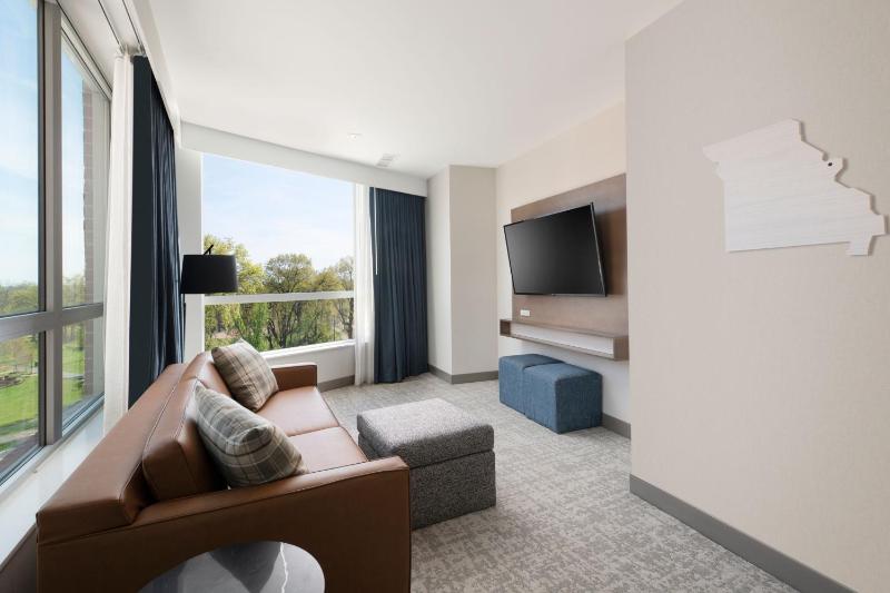 One-Bedroom King Suite with Sofa Bed  image 1