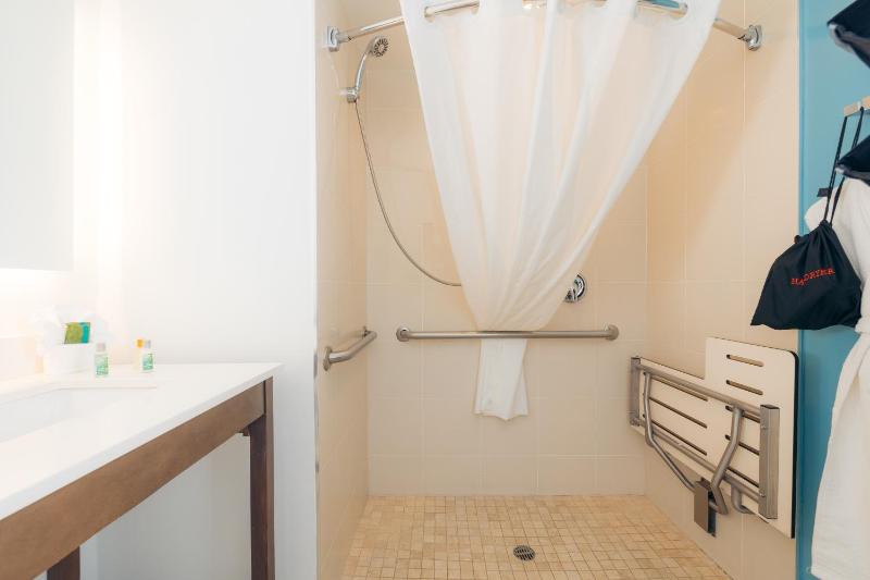 Standard Room, 1 King Bed, Accessible, Non-Smoking image 1