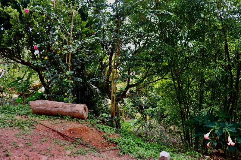 Coorg Nature Breeze home stay - image 23