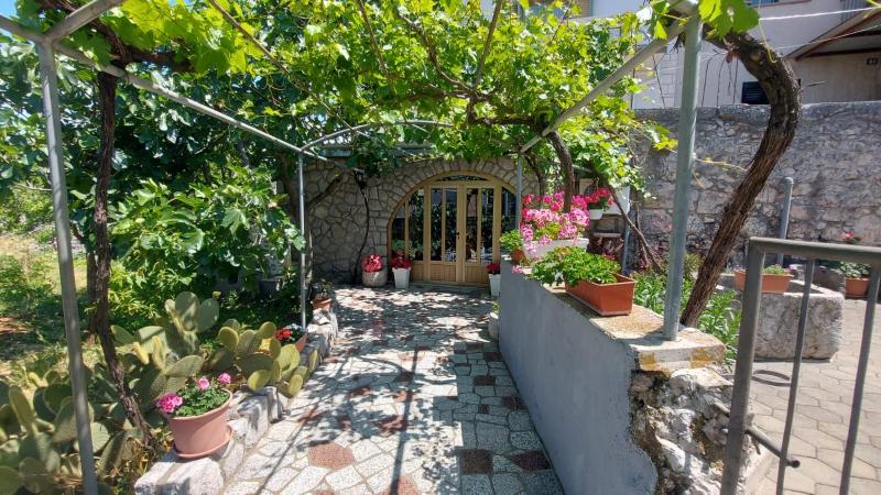 Guest house Tom - image 20