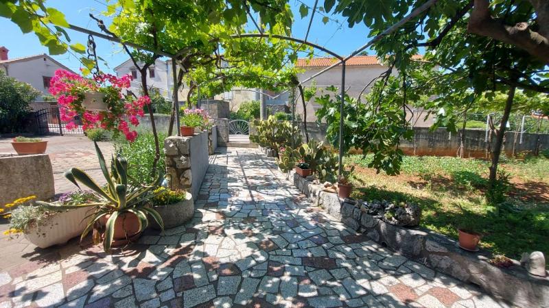 Guest house Tom - image 19