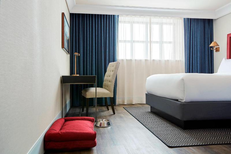 Business King Room image 3