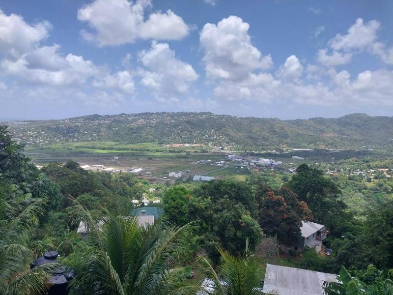 Avocado Suites - image 6