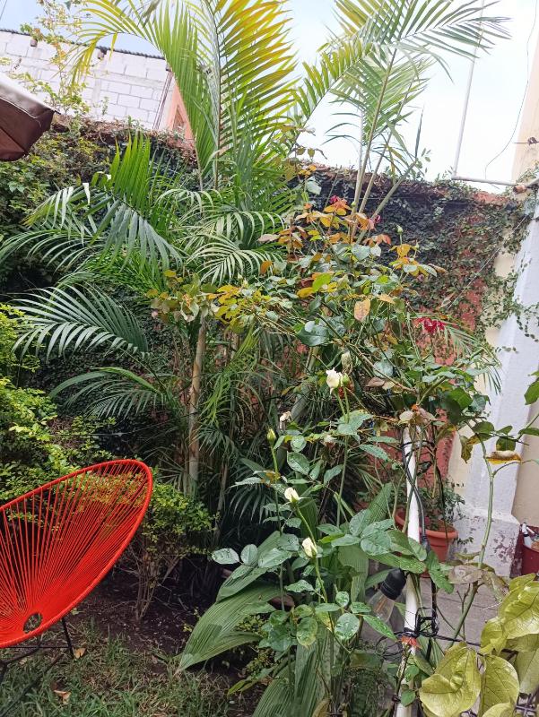 HOSTAL LA PAZ - image 6