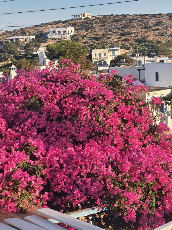 Single Room with Sea View image 2