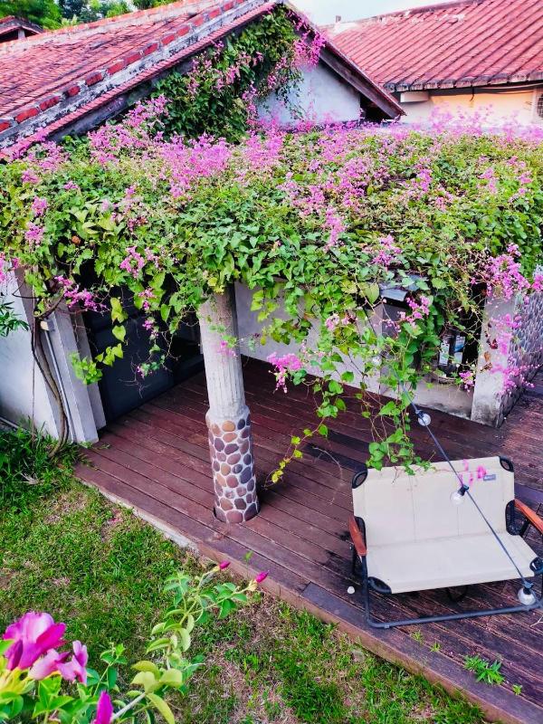 香蕉與黑膠 Yellow And Black Guest House - image 4