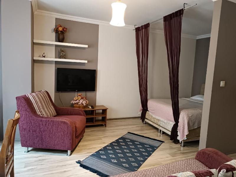 One-Bedroom Apartment image 4