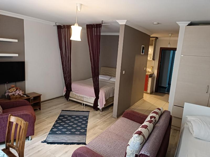 One-Bedroom Apartment image 1