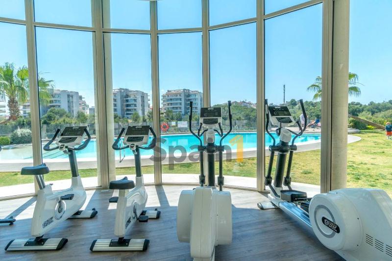 Villamartin - Green Hills 3 Bedrooms Apartment with 3 pools Gym Sauna - image 14