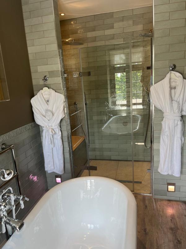 Deluxe Suite image 4