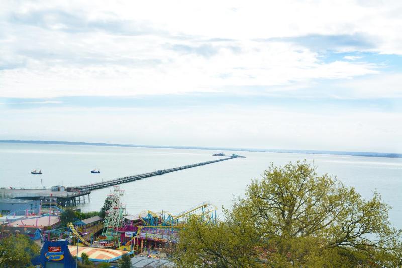 One Bedroom Apartment - Pier View image 2