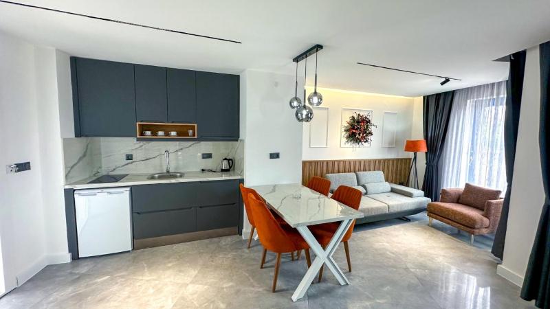 One-Bedroom Apartment (3 Adults) image 4