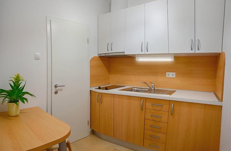 One-Bedroom Apartment (2 Adults + 1 Child) image 4