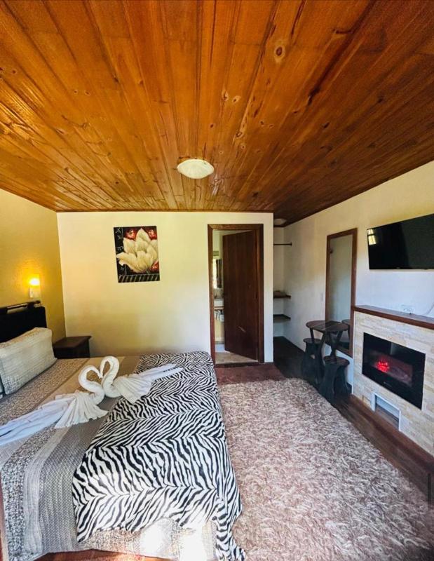 Casa do Papai - image 10