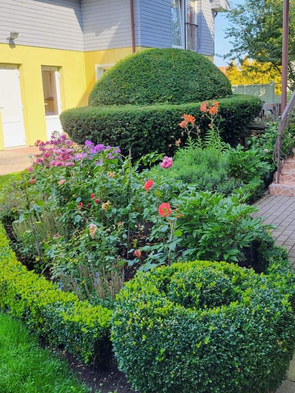 Vila Florena Garden - image 34