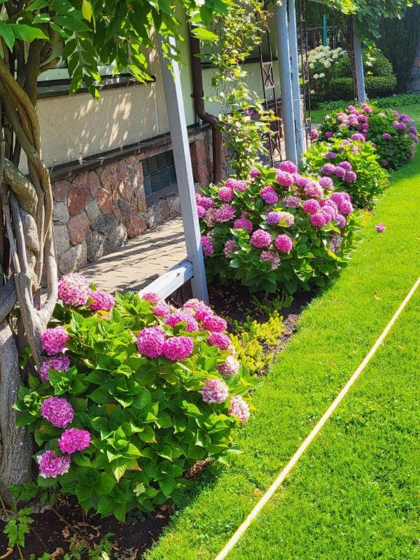 Vila Florena Garden - image 26