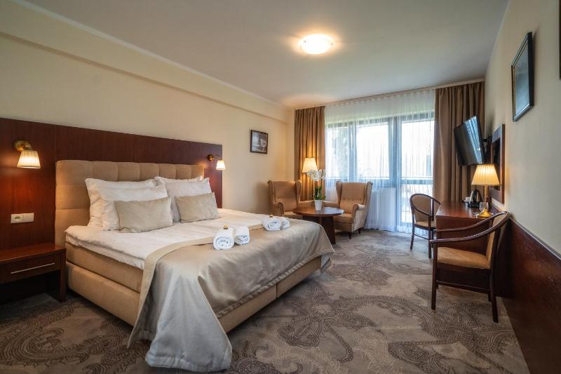 Superior King Room image 2