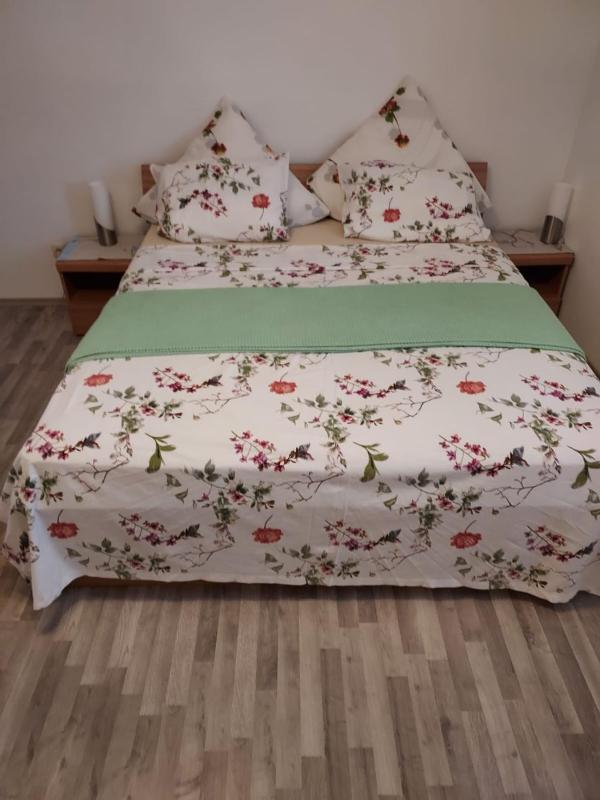 One-Bedroom Apartment image 2