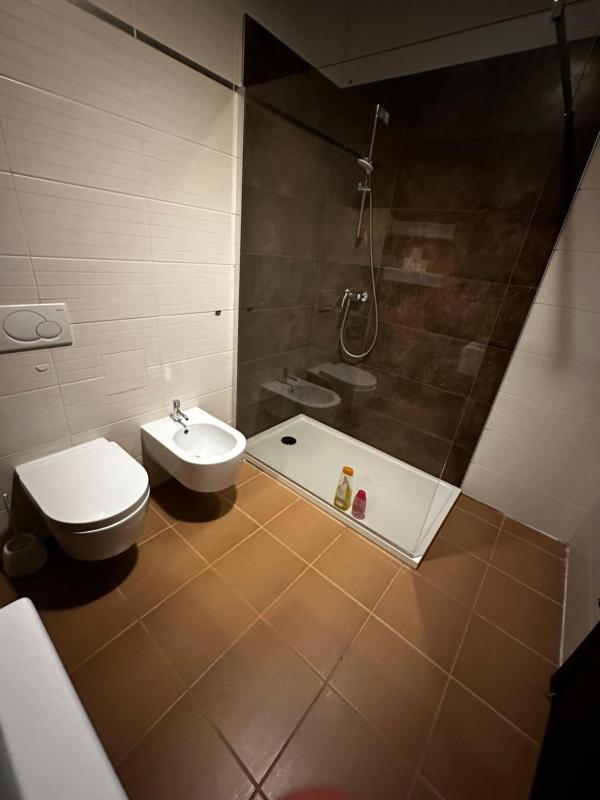 Two-Bedroom Apartment image 4