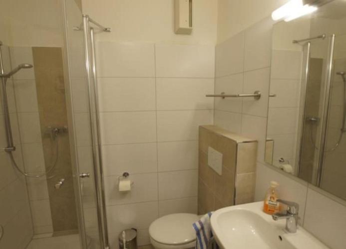 Lüttjer Strandloper - image 7